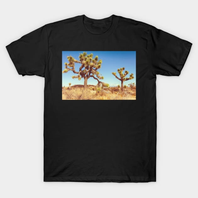 Joshua Trees T-Shirt by jvnimages